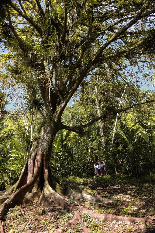 Chale Suico - Chales Belo Monte - Sitio Belo Monte ปาคอตชิ ภายนอก รูปภาพ